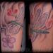 Tattoos - Color Dragon Fly Sleeve Add On - 58075